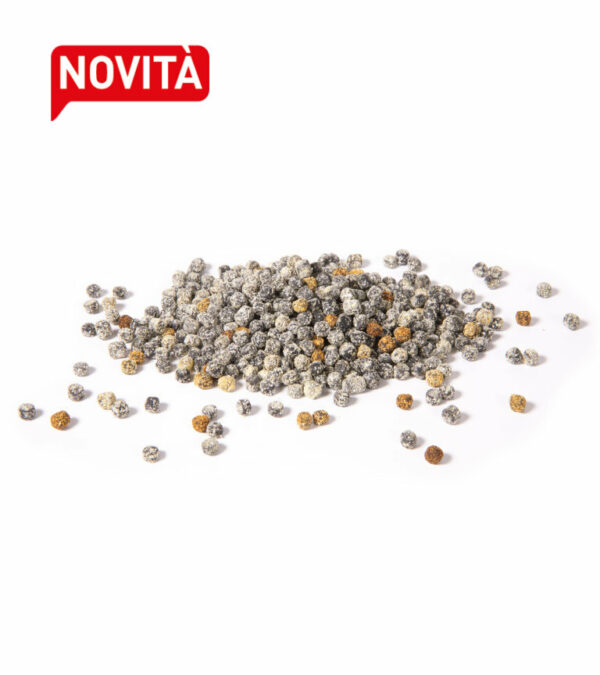 Fregola al nero di seppia